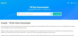 Cara Download Video TikTok di Browser PC
